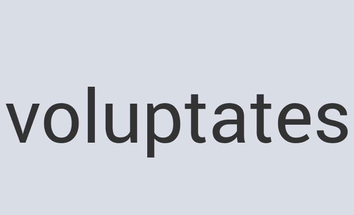 Aerodynamic Leather Brainquil