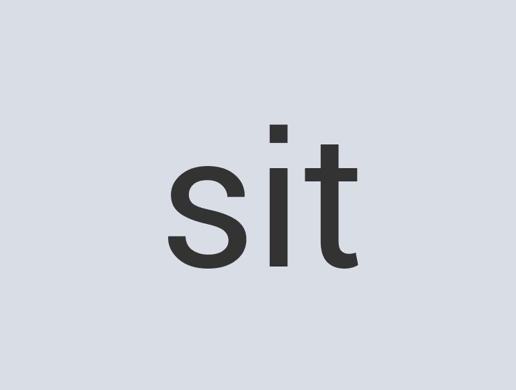 Enormous Plastic Cherry Cherry