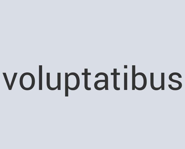 Awesome Wool Mr. Losty