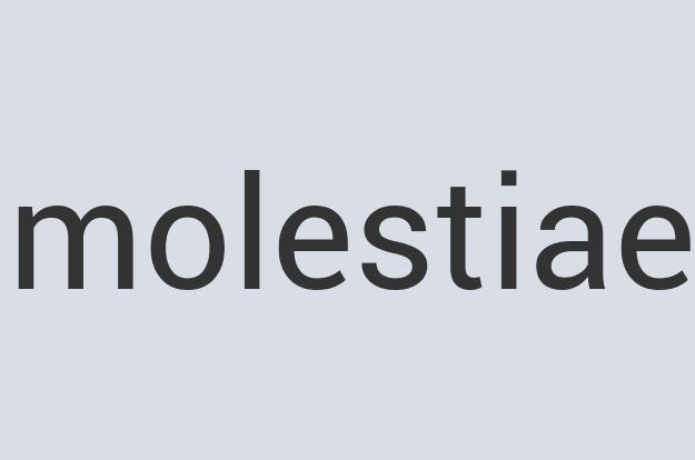 Mediocre Wool Snoozarium Sectionals