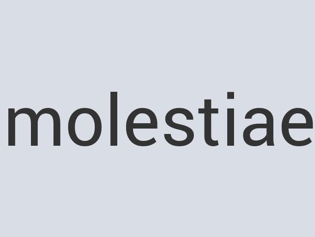 Small Leather NetMeter