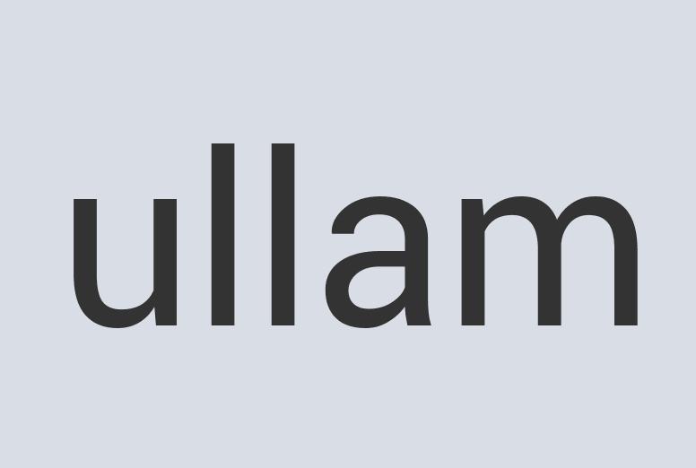 Heavy Duty Concrete Cheetah Chat