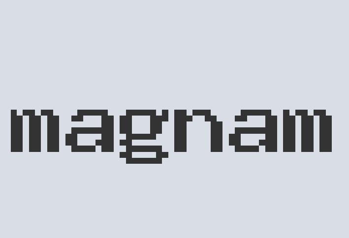 Lightweight Silk Virtual CEO