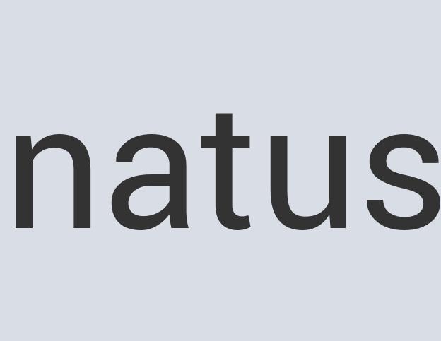 Aerodynamic Rubber Torpor Snacks