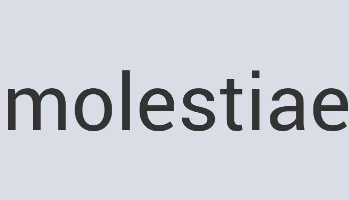 Sleek Cotton Parvenu Charlie